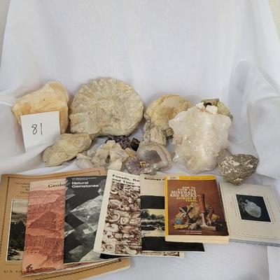 Rock and fossil collection with rock books