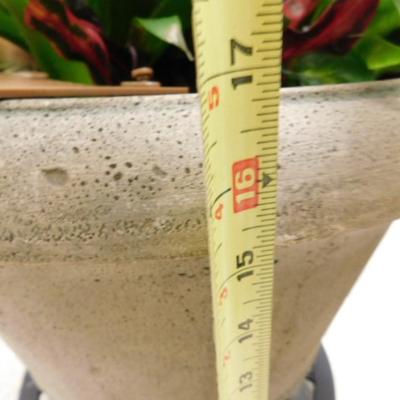 Live Plant Collection Featuring Bromeliad in Composite Concrete Color Planter with Dolly Base