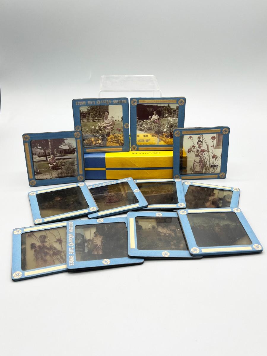 Lot of Vintage Glass Slides of Women Posing in Front of Garden Flowers