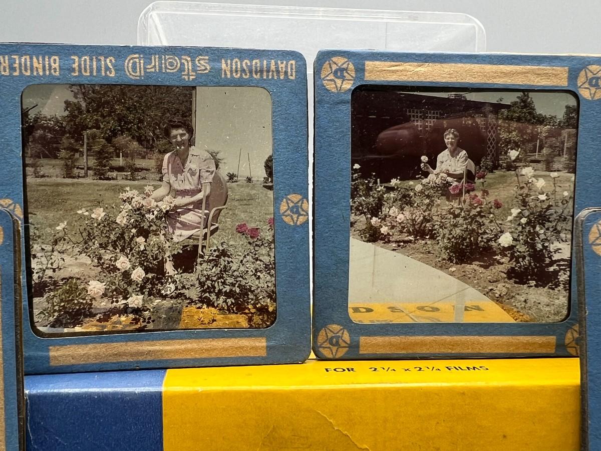 Lot of Vintage Glass Slides of Women Posing in Front of Garden Flowers