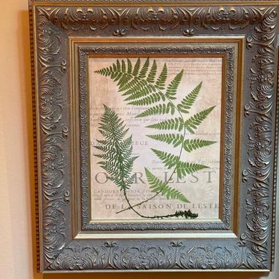 Set of Four Fern Art on Canvas