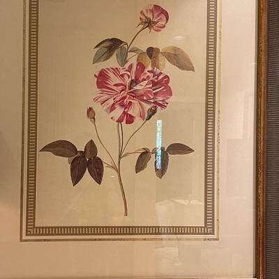 Two Pretty Framed Flower Pieces