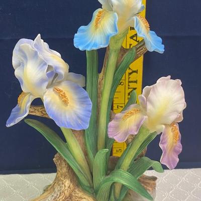 Home Interior Iris