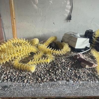 Large Aquarium