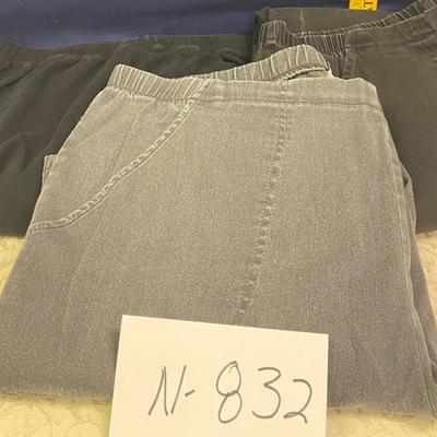 20x Petite Pants
