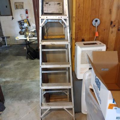 6' Ladder