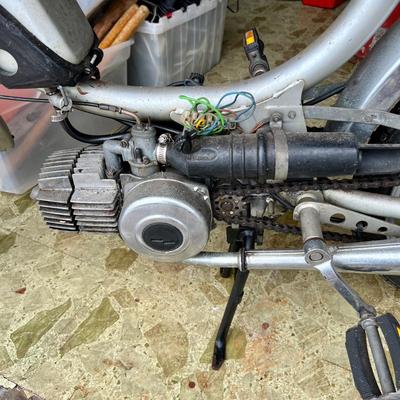 Sears Free Spirit Moped (G-JM)