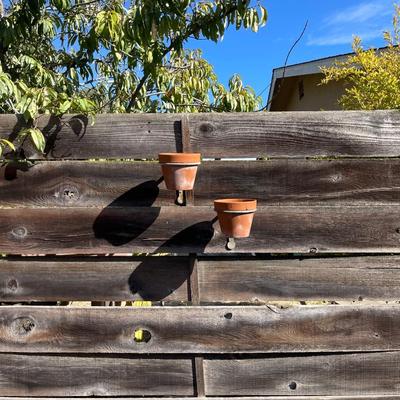 Terra Cotta Pots and wall hangers