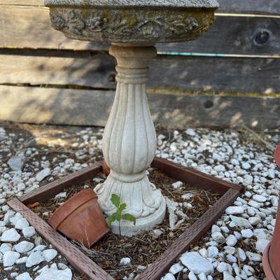 Bird Bath