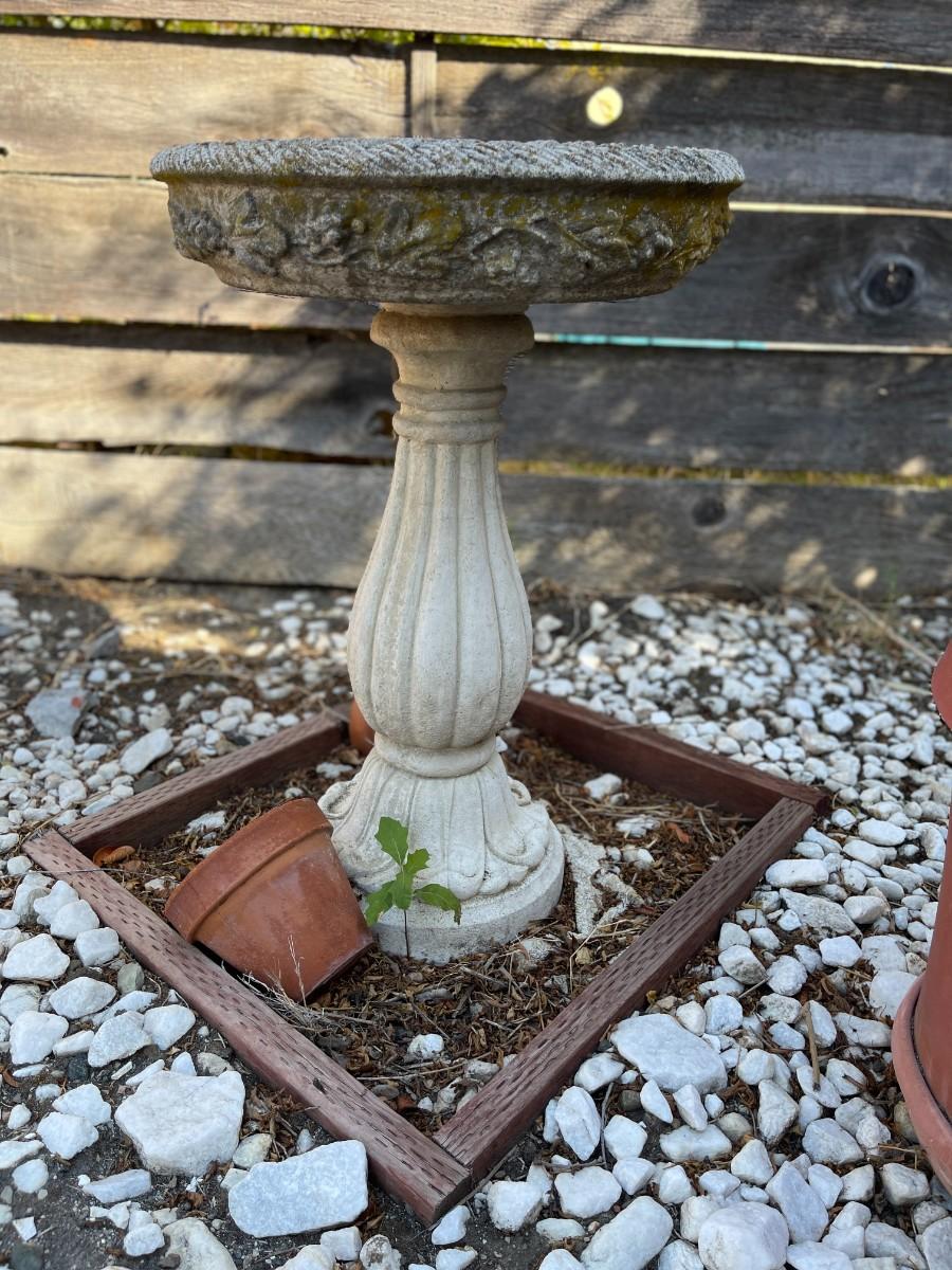 Bird Bath