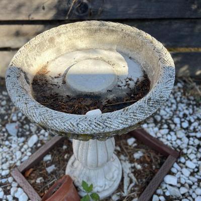 Bird Bath