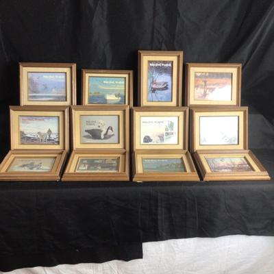 6087 Framed Waterfowl Guides