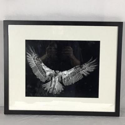 6103 Osprey Framed Photograph by Reinhardt Sahmel