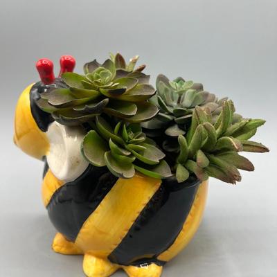 Ceramic Bee Displayable Faux Succulent Decor