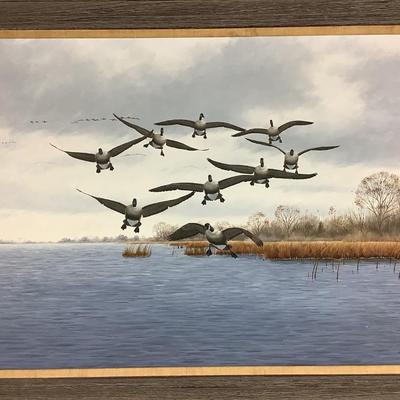 6116 Original Signed Greg Caron '77 Waterfowl Artist