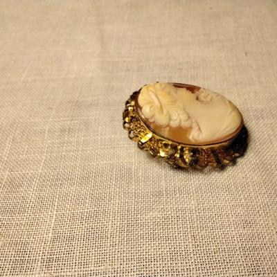 Gorgeous Cameo Pendant/Brooch