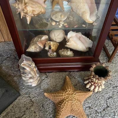 Sea Shell Lot