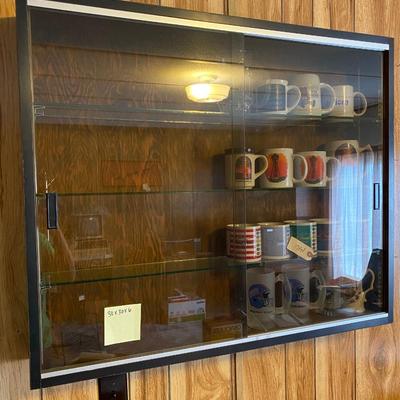Wall Display Cabinet with Contents