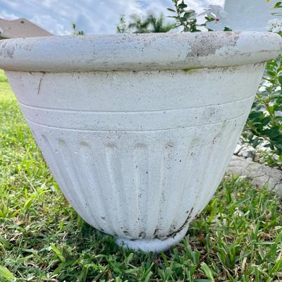 Yard decor (L - NM)