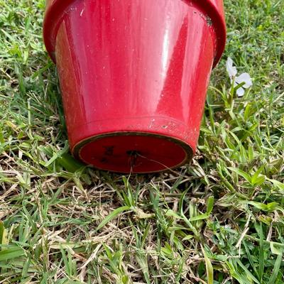 Yard decor (L - NM)
