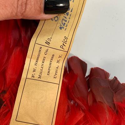 Vintage Red Feather Bird Wings