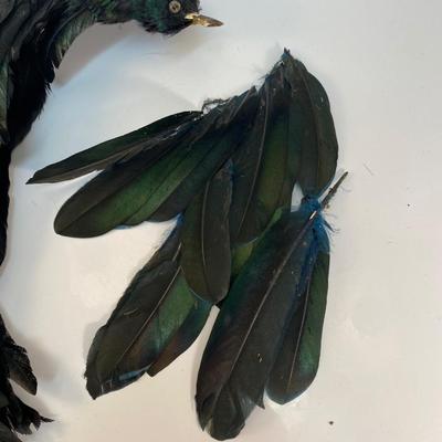 Vintage Emerald Green Black Bird & Feather Lot for Crafting