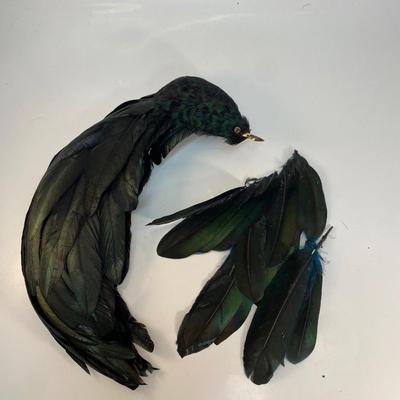 Vintage Emerald Green Black Bird & Feather Lot for Crafting