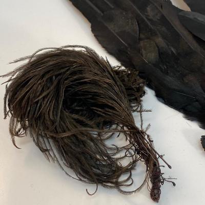 Black Vintage Feather Lot