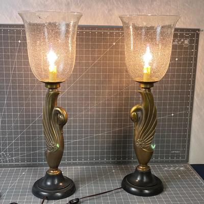 Pair of Beautiful SWAN Lamps Vintage 1970's 