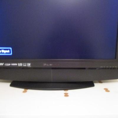 Olevia 24" TV