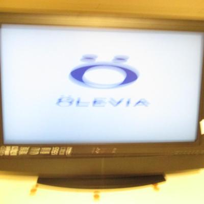Olevia 24" TV