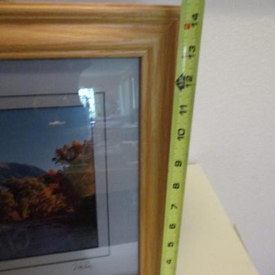 Framed Picture