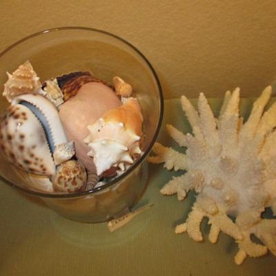 Seashell Collection in Glass Jar/Faux Coral Decor