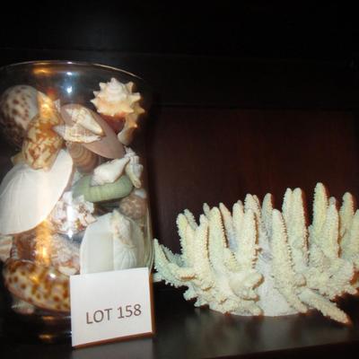 Seashell Collection in Glass Jar/Faux Coral Decor