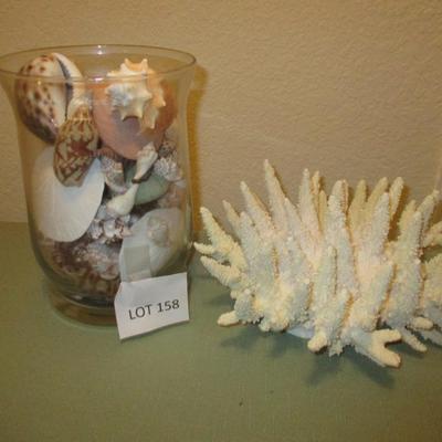 Seashell Collection in Glass Jar/Faux Coral Decor
