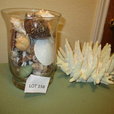 Seashell Collection in Glass Jar/Faux Coral Decor