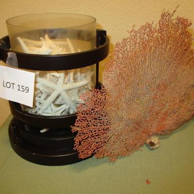 Wooden Barnacle & Seashells/Starfish Decor