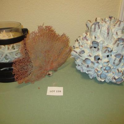 Wooden Barnacle & Seashells/Starfish Decor