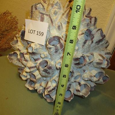 Wooden Barnacle & Seashells/Starfish Decor