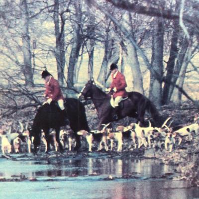 Lot. 6244. Signed Photograph by M.E. Wallen â€œ 3/Riding to the Houndsâ€