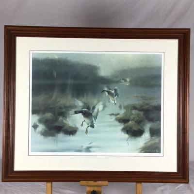 Lol. 6238. Signed and numbered print by Manfredo SCHATZ. â€œ Mallardsâ€