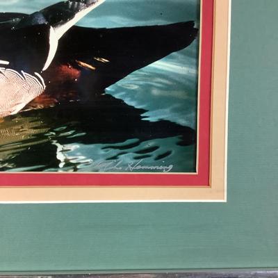 Lot. 6255. Signed Photograph of a wood duck by Mike Hemming