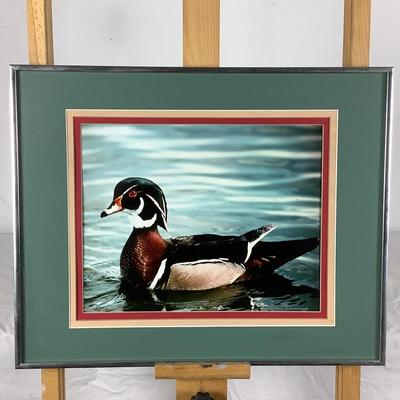 Lot. 6255. Signed Photograph of a wood duck by Mike Hemming