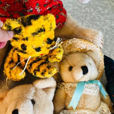 Lot of Stuffed Animals Plush