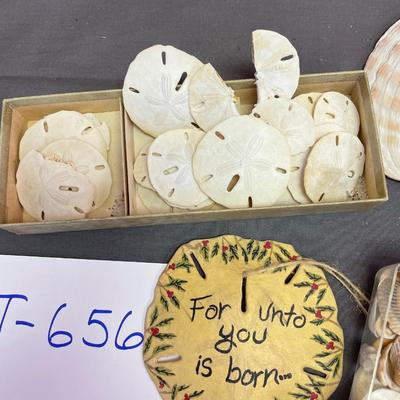 Sea shell assortment