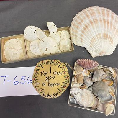 Sea shell assortment