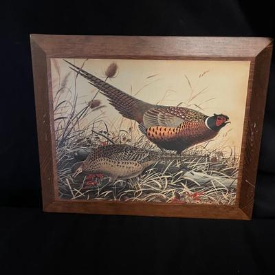 Bird Art (B2-MG)