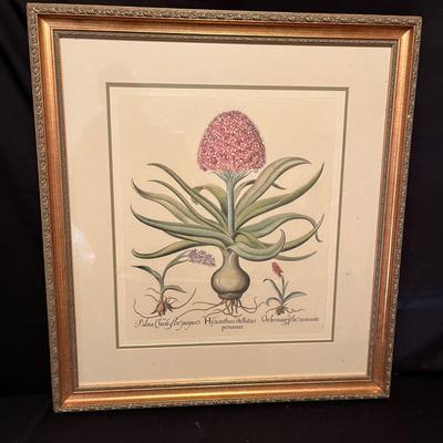 Hyacinthus Wood Framed & Matted Artwork (B2-MG)