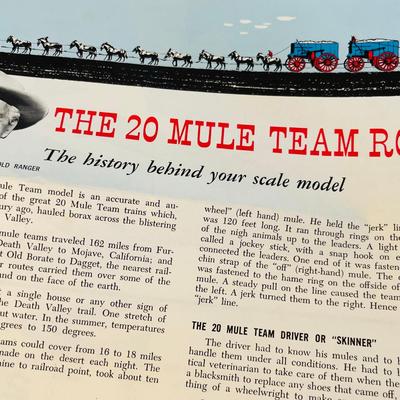 20 Mulel Team Model Kit