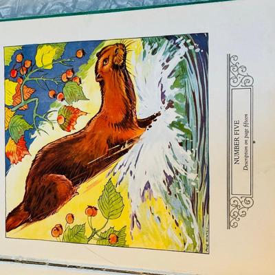Book - Who's Who in The Zoo